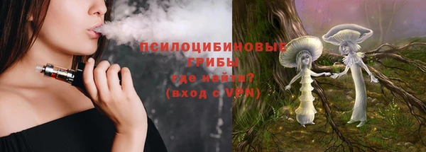 ПСИЛОЦИБИНОВЫЕ ГРИБЫ Горно-Алтайск