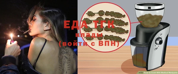 ПСИЛОЦИБИНОВЫЕ ГРИБЫ Горно-Алтайск