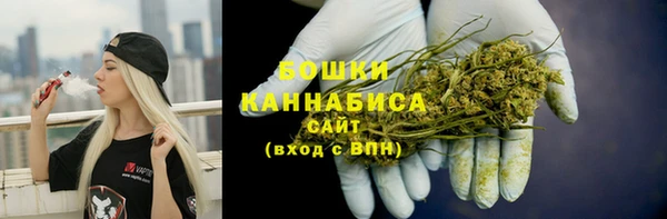 ПСИЛОЦИБИНОВЫЕ ГРИБЫ Горно-Алтайск
