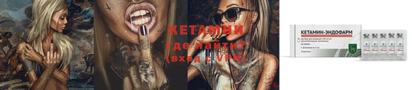 ПСИЛОЦИБИНОВЫЕ ГРИБЫ Горно-Алтайск