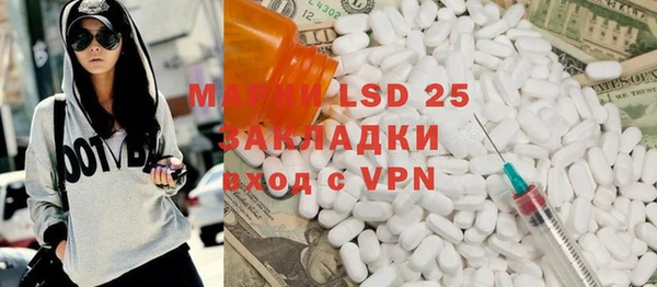 ПСИЛОЦИБИНОВЫЕ ГРИБЫ Горно-Алтайск