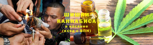 ПСИЛОЦИБИНОВЫЕ ГРИБЫ Горно-Алтайск