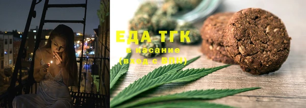 ПСИЛОЦИБИНОВЫЕ ГРИБЫ Горно-Алтайск